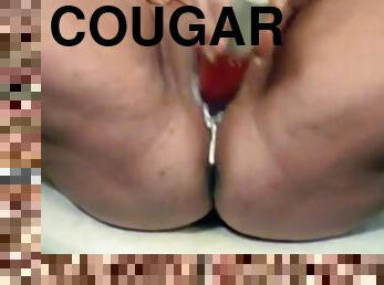 amateur, solo, cougar