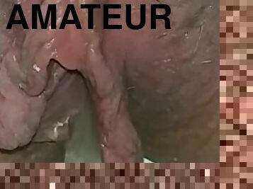 traseiros, pai, mijando, cona-pussy, amador, maduro, bbw, bonita, fetiche, sozinho