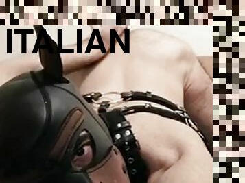 anal, legetøj, hardcore, bøsse, bdsm, liderlig, dildo, italiensk, kvælning, bondage