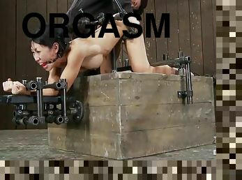 asiatique, gros-nichons, extrême, orgasme, bdsm, bondage, brunette