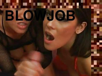 Lucky dude gets a blowjob by those stunning babes