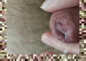 Uncut Cock Covered in Precum