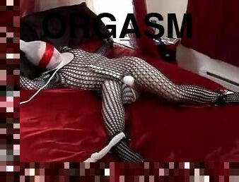 orgasme, collants, bdsm, pieds, résille, douce, bondage, blanc, en-nylon