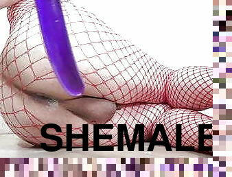 perä, shemale, anaali, kypsä, lelu, ladyboy, pitkät-sukat, alusasut, dildo, soolo