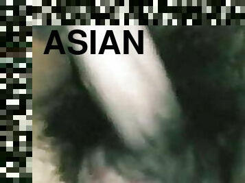 एशियाई, कुत्ता, बालदार, परिपक्व, भारतीय, क्रीमपीए, डबल, मिजेट, पेनीट्रेटिंग
