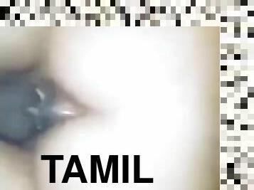 Tamil wife shared