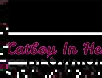 (TM4M) (M4M) Catboy in Heat (Audio) ("Master")