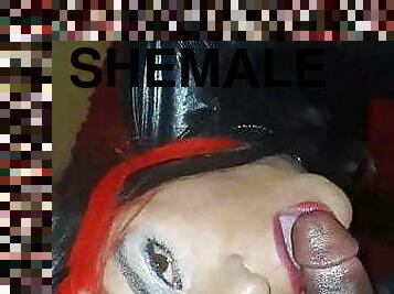 transsexuelle, allemand, domination