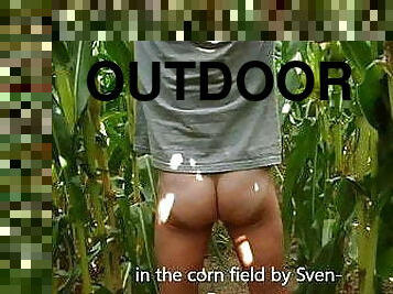 wanking in the corn field
