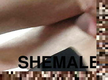 shemale, mėgėjai, analinis, ladyboy, prisegamos-kojinės, šeima, ištvirkę, dulkinimas, smulkus