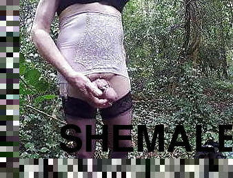 masturbation, en-plein-air, transsexuelle, amateur, énorme-bite, ladyboy, bas, britannique, lingerie, solo