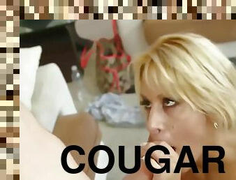 Cougar likes to suck