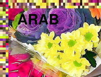 skønheder, arabisk