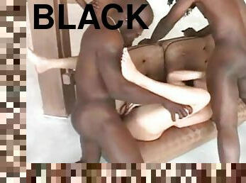 Kacey Kox Used By Black Guys