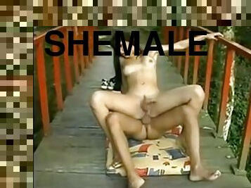 shemale, amatööri