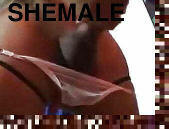 Shemale Hardcore Sex 237