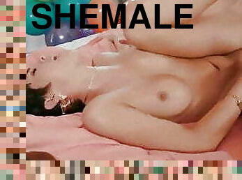 Shemale Hardcore Sex 260