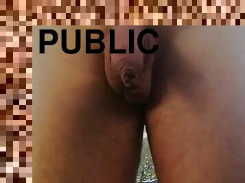 公共