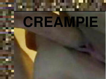 Creampies Compulation