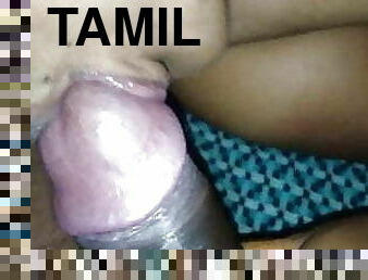Tamil aunty sucking dick