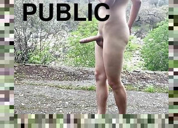 nudist, öffentliche, swingers, dilettant, allein