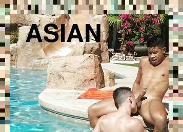 asiatisk, avsugning, gay, avrunkning, deepthroat, pool, bollar, kuk, sugande