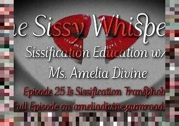 Is Sissification Transphobic  The Sissy Whisperer Podcast