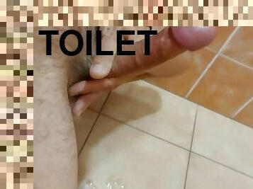 Cumshot on toilet