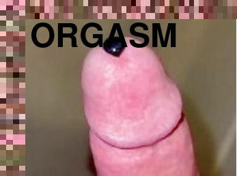 orgasm, masaj, excitat, lapte, virgina, inseminare