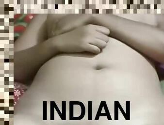 Hot Indian Chubby Pussy Fucking Mms Video