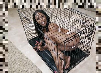 Salacious ebony vixen Sarah Banks POV dirty sex video