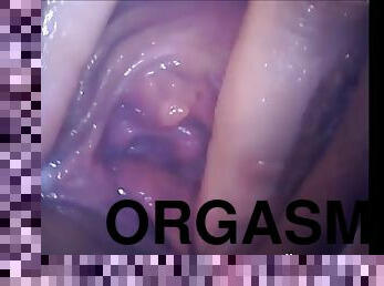 orgasmo, amador, câmara, vigia, webcam, vagina