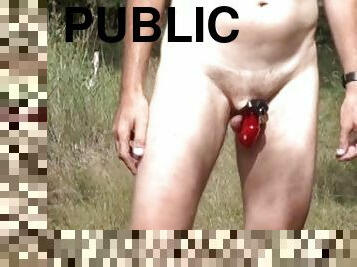 al-aire-libre, público, amateur, juguete, webcam, a-solas, exhibicionista, realidad