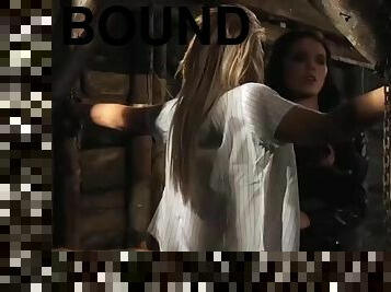 Slaves homecoming: bound slave undressed and groped