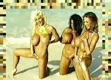 groß-titten, im-freien, babe, weinlese, strand, retro, blondine, brunette, erotik