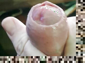 Hard cock super wet with precum 