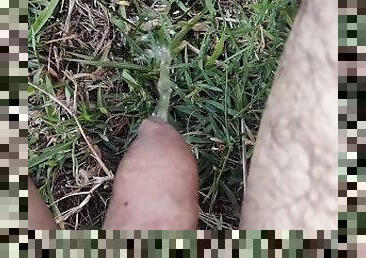 Pissing on grass outdoors compilation