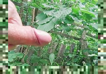 énorme, masturbation, orgasme, en-plein-air, public, amateur, ejaculation-sur-le-corps, branlette, ejaculation, bite