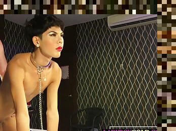 asiático, teta-grande, transsexual, amador, anal, chupanços, adolescente, bdsm, travesti, pov