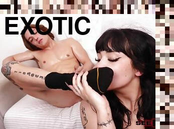 Exotic Xxx Video Hd Fantastic Just For You